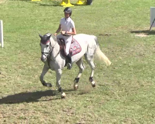 Reitturnier Herrenberg-Gültstein 2016