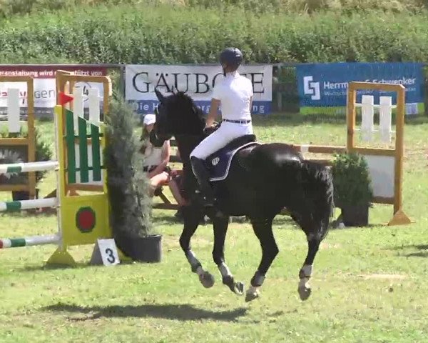 Reitturnier Herrenberg-Gültstein 2016