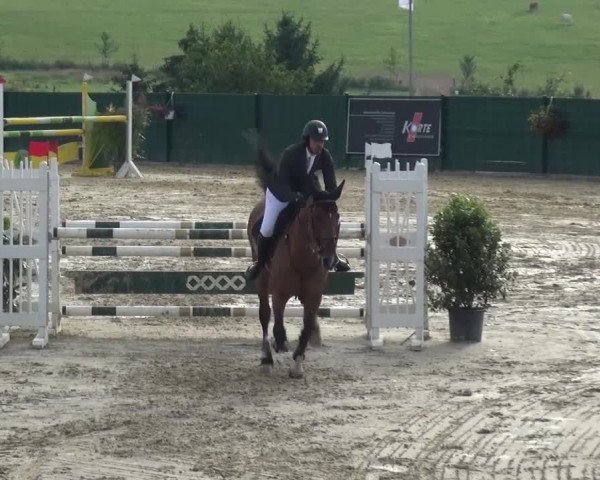 Reitturnier Lindlar-Süttenbach 2016
