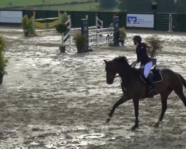 Jezdecký turnaj Lindlar-Süttenbach 2016