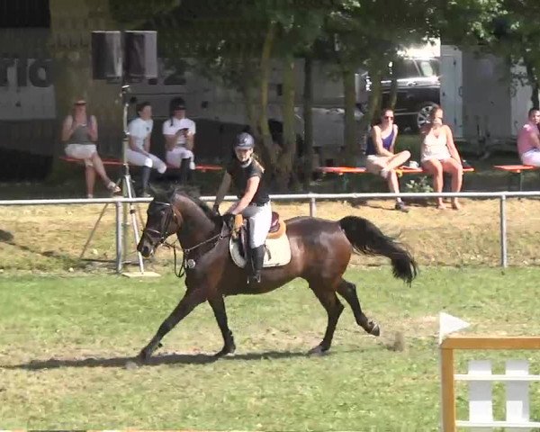 Reitturnier Herrenberg-Gültstein 2016