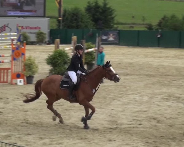 Reitturnier Lindlar-Süttenbach 2016