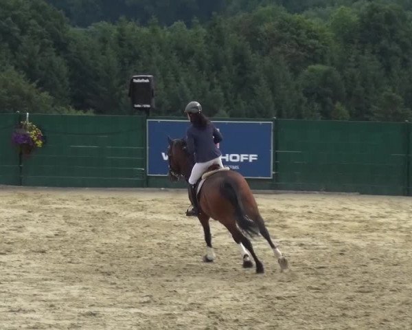 Reitturnier Lindlar-Süttenbach 2016