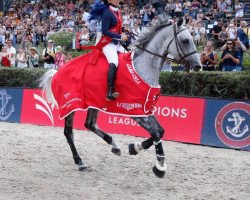 jumper Global Jativia (Belgian Warmblood, 2009, from VDL Cardento 933)
