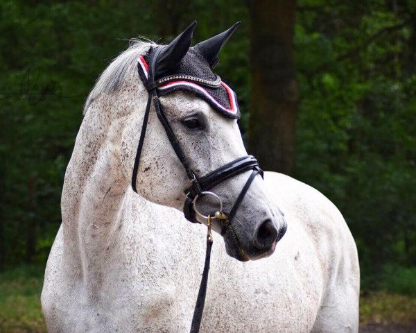 jumper Samira 366 (German Sport Horse, 2005, from Saccor)