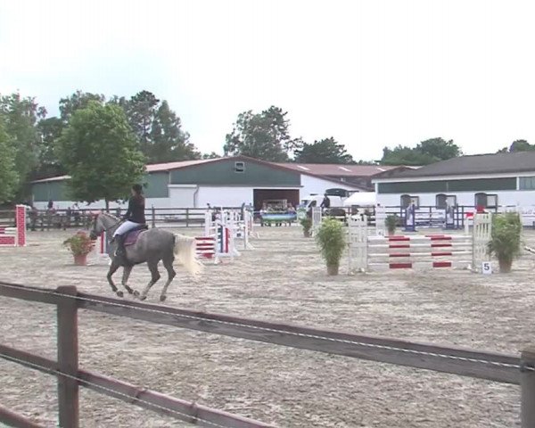 Reitturnier HH-Klein Offenseth/Hell-Stallion-Stud 2016