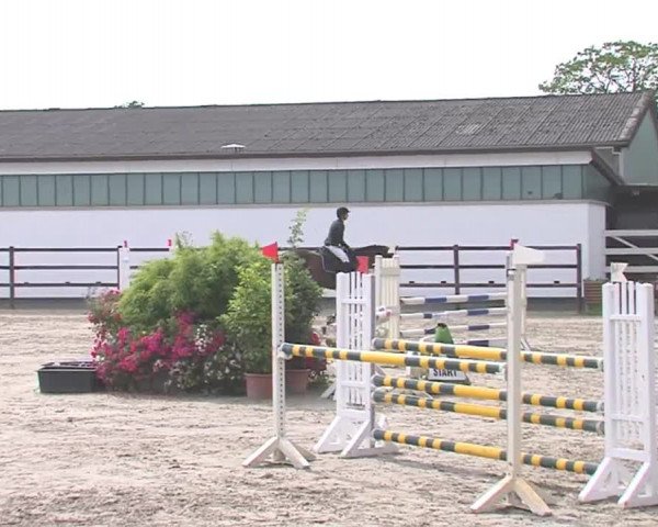Reitturnier HH-Klein Offenseth/Hell-Stallion-Stud 2016