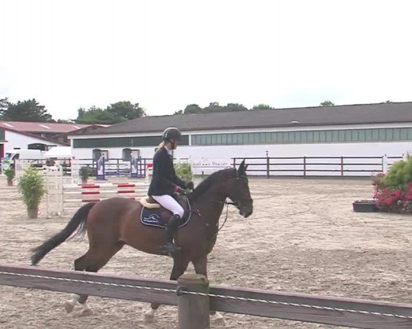 Reitturnier HH-Klein Offenseth/Hell-Stallion-Stud 2016