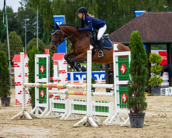 broodmare Evita T 3 (German Sport Horse, 2014, from Eldorado van de Zeshoek)