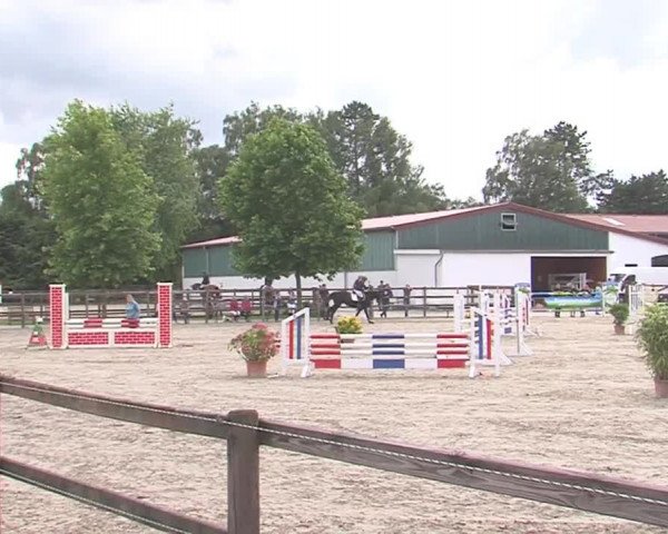 Reitturnier HH-Klein Offenseth/Hell-Stallion-Stud 2016