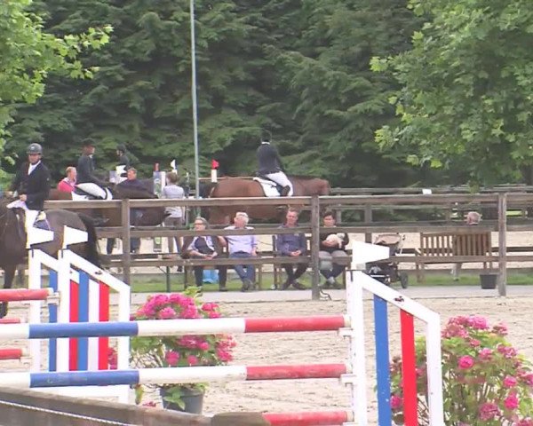 Reitturnier HH-Klein Offenseth/Hell-Stallion-Stud 2016