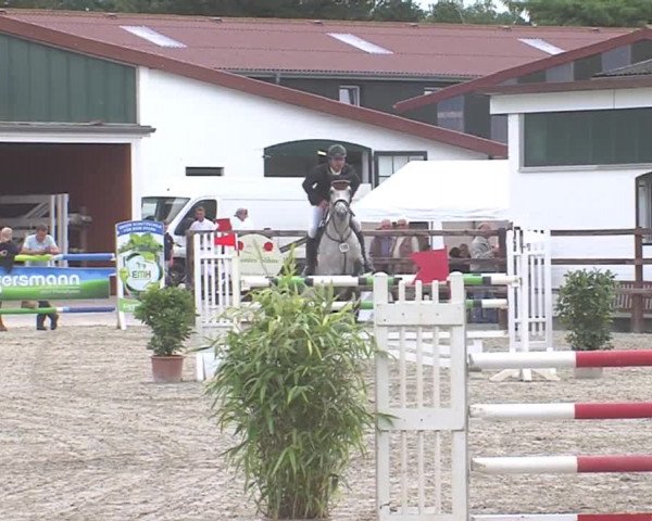 Reitturnier HH-Klein Offenseth/Hell-Stallion-Stud 2016