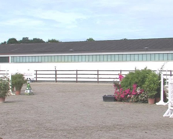 Reitturnier HH-Klein Offenseth/Hell-Stallion-Stud 2016