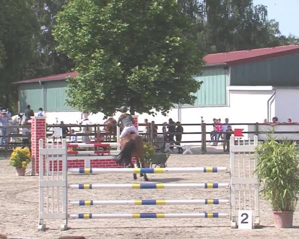 Reitturnier HH-Klein Offenseth/Hell-Stallion-Stud 2016