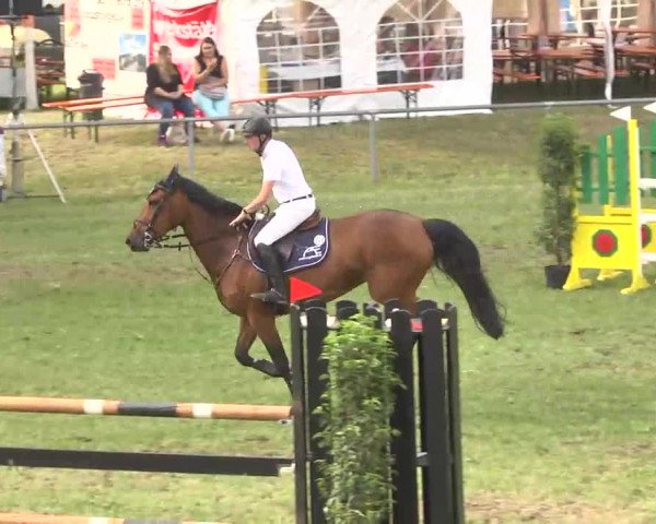 Reitturnier Herrenberg-Gültstein 2016