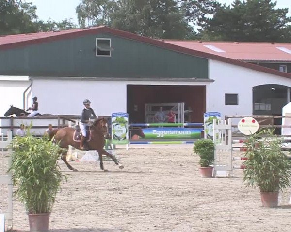 Reitturnier HH-Klein Offenseth/Hell-Stallion-Stud 2016