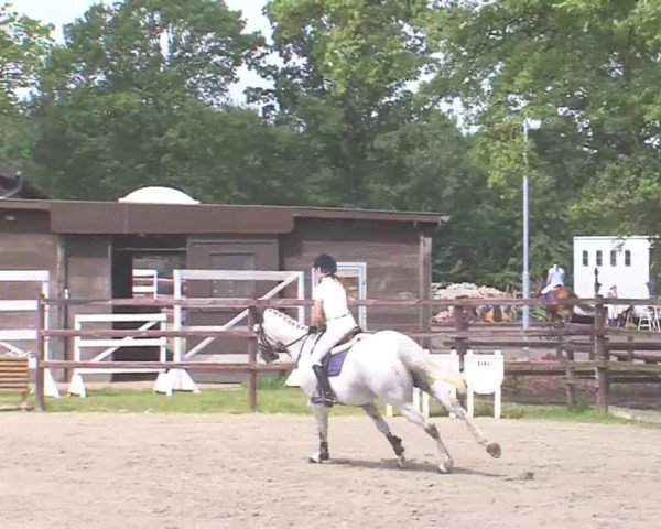 Reitturnier HH-Klein Offenseth/Hell-Stallion-Stud 2016