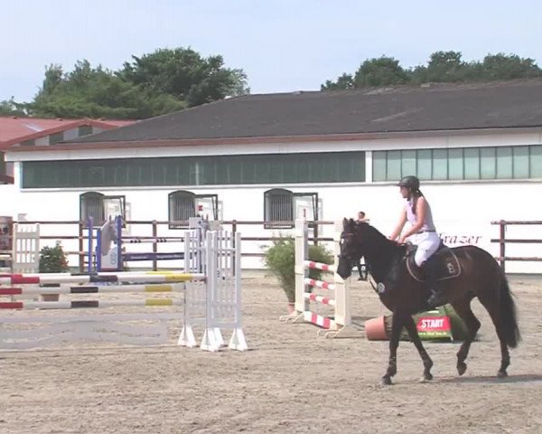Reitturnier HH-Klein Offenseth/Hell-Stallion-Stud 2016