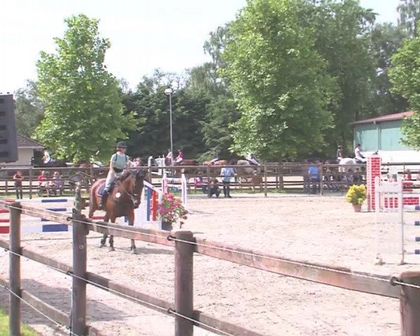 Reitturnier HH-Klein Offenseth/Hell-Stallion-Stud 2016
