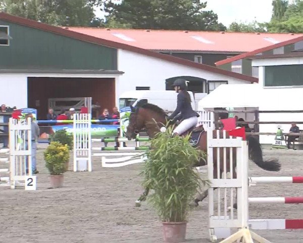 Reitturnier HH-Klein Offenseth/Hell-Stallion-Stud 2016