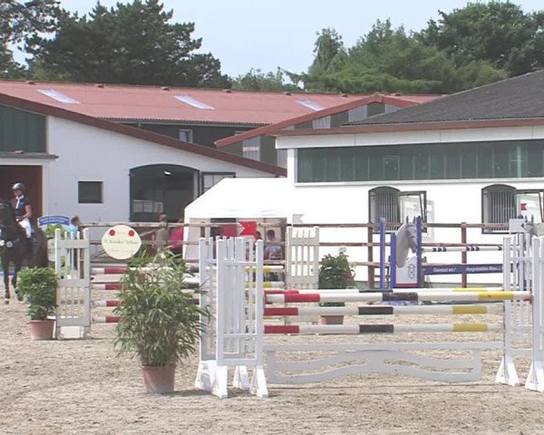 Reitturnier HH-Klein Offenseth/Hell-Stallion-Stud 2016