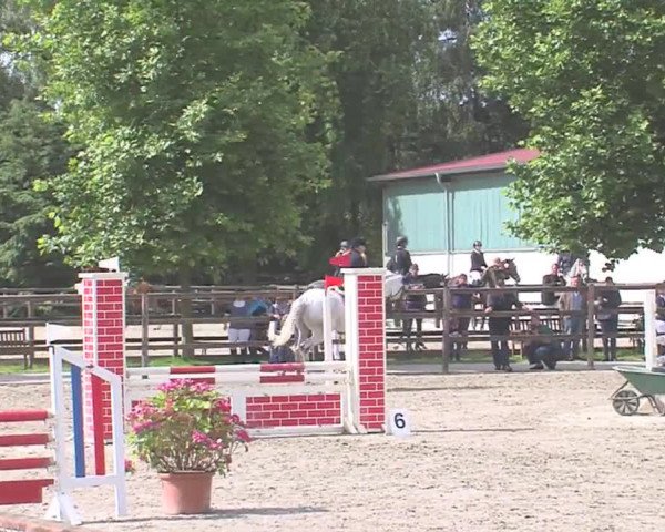 Reitturnier HH-Klein Offenseth/Hell-Stallion-Stud 2016