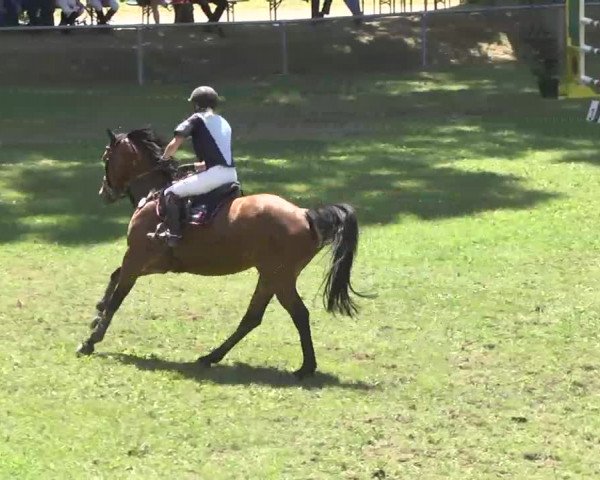 Reitturnier Herrenberg-Gültstein 2016