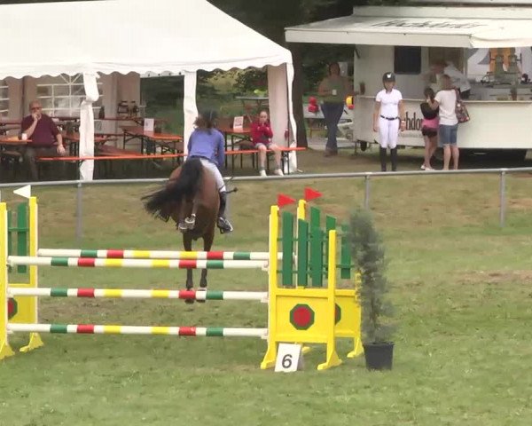 Reitturnier Herrenberg-Gültstein 2016