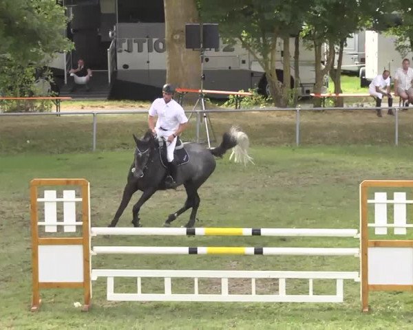 Reitturnier Herrenberg-Gültstein 2016