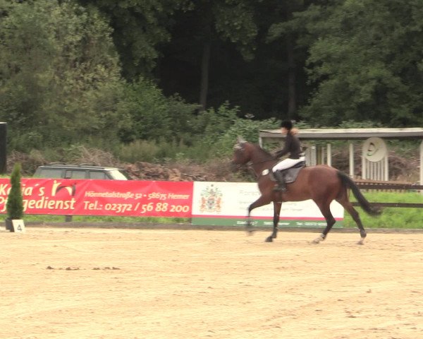 Reitturnier Hemer-Oese an der Edelburg 2016