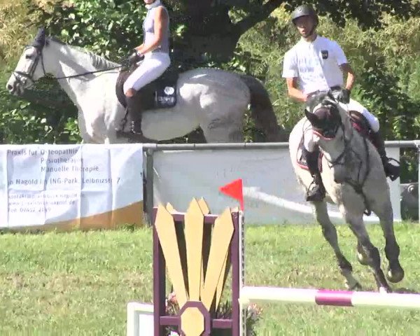 Reitturnier Herrenberg-Gültstein 2016
