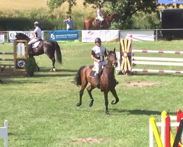 Reitturnier Herrenberg-Gültstein 2016