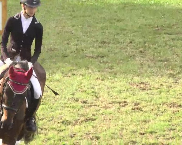 Reitturnier Herrenberg-Gültstein 2016