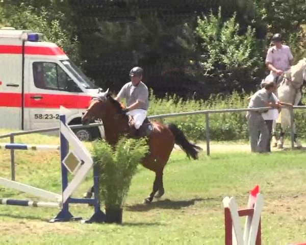 Reitturnier Herrenberg-Gültstein 2016