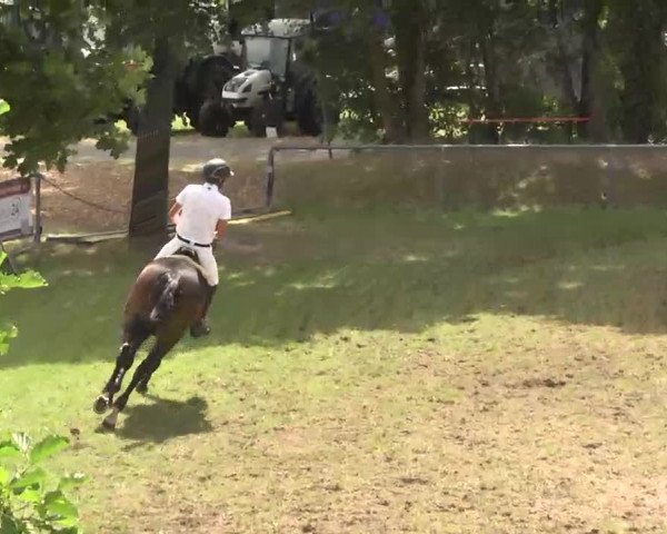 Reitturnier Herrenberg-Gültstein 2016