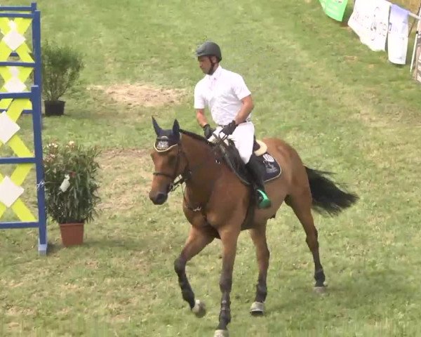 Reitturnier Herrenberg-Gültstein 2016