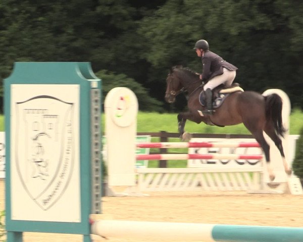 Reitturnier Hemer-Oese an der Edelburg 2016