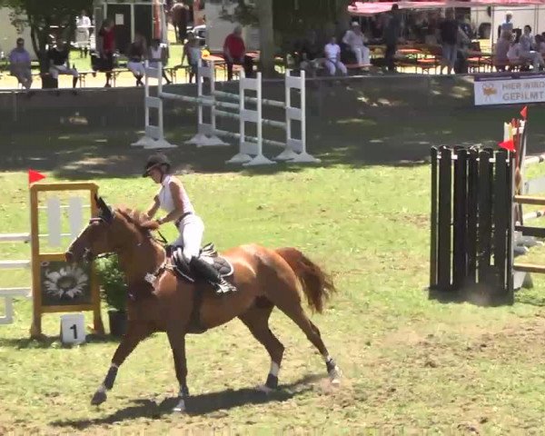 Reitturnier Herrenberg-Gültstein 2016