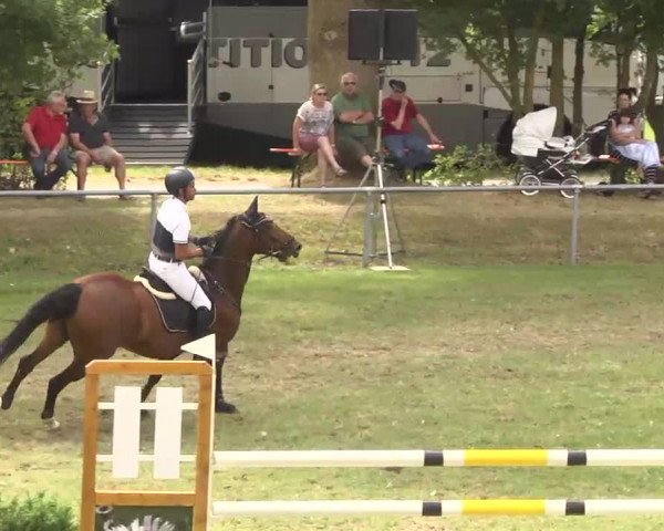Reitturnier Herrenberg-Gültstein 2016