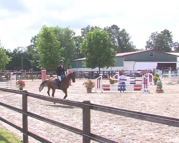 Reitturnier HH-Klein Offenseth/Hell-Stallion-Stud 2016