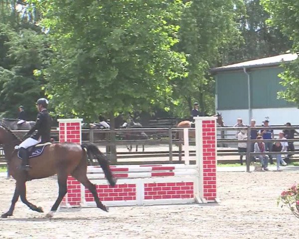 Reitturnier HH-Klein Offenseth/Hell-Stallion-Stud 2016