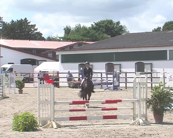 Reitturnier HH-Klein Offenseth/Hell-Stallion-Stud 2016