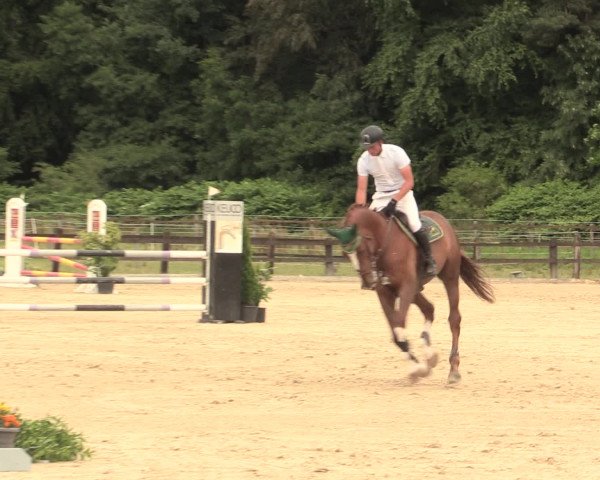 Reitturnier Hemer-Oese an der Edelburg 2016