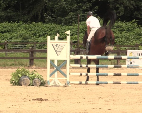 Reitturnier Hemer-Oese an der Edelburg 2016