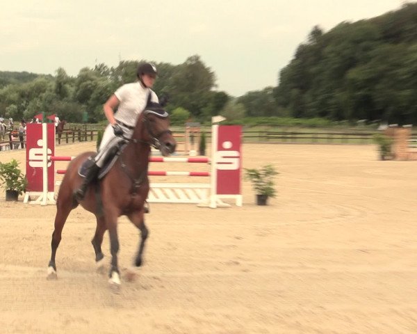 Reitturnier Hemer-Oese an der Edelburg 2016