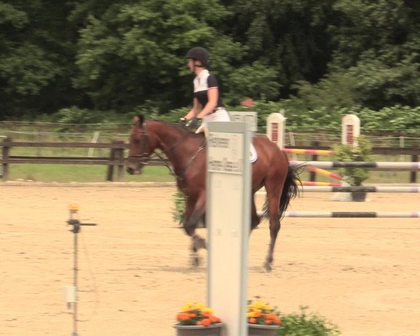 Reitturnier Hemer-Oese an der Edelburg 2016