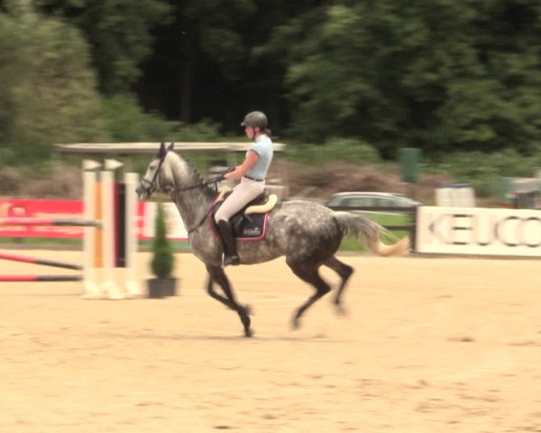 Reitturnier Hemer-Oese an der Edelburg 2016