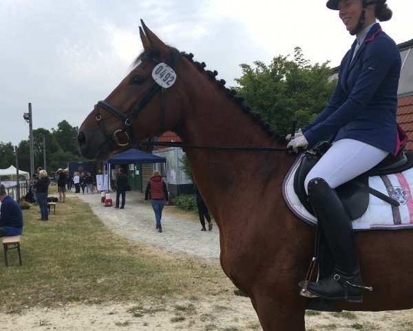 broodmare Iphigenia G (Hanoverian, 2007, from Iberio)