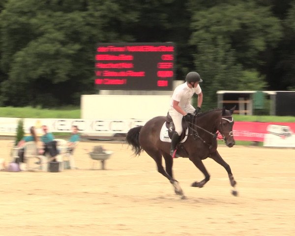 Reitturnier Hemer-Oese an der Edelburg 2016