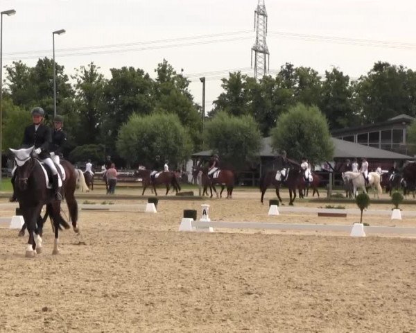 Reitturnier Münster-Roxel 2016